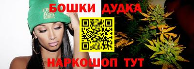 МДПВ Будённовск