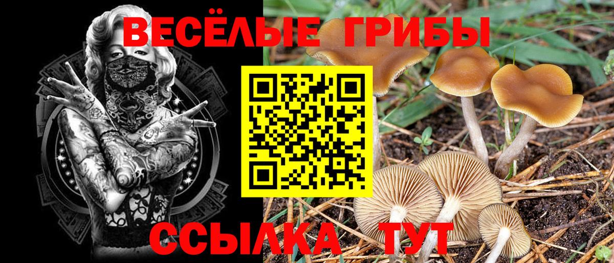 Малгобек  Галлюциногенные грибы Magic Shrooms  Галлюциногенные грибы прущие грибы  Вход с VPN 